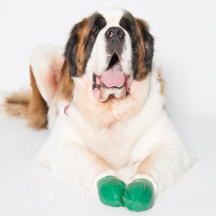 Botas de caucho para perro